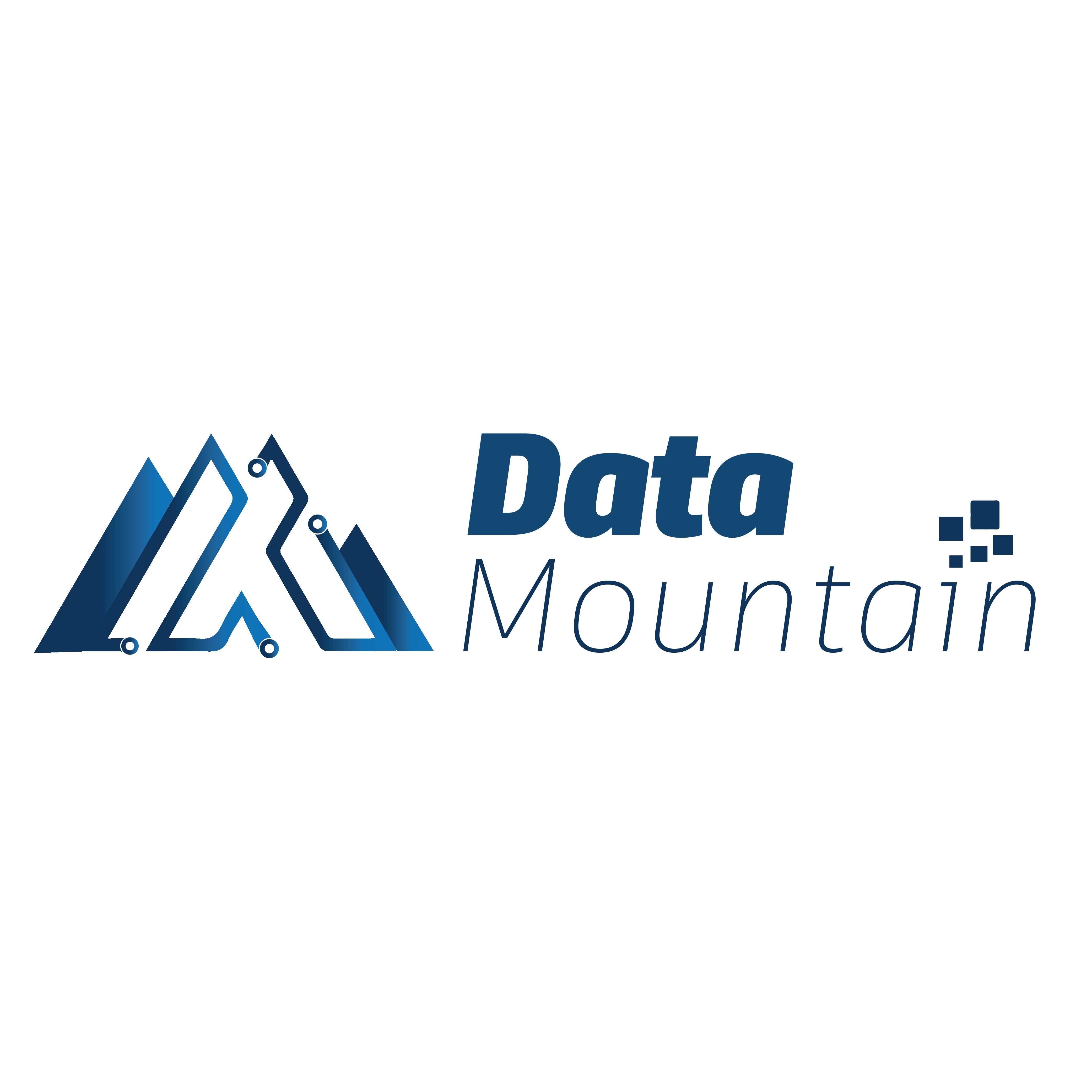 Logotipo da empresa Data Mountain